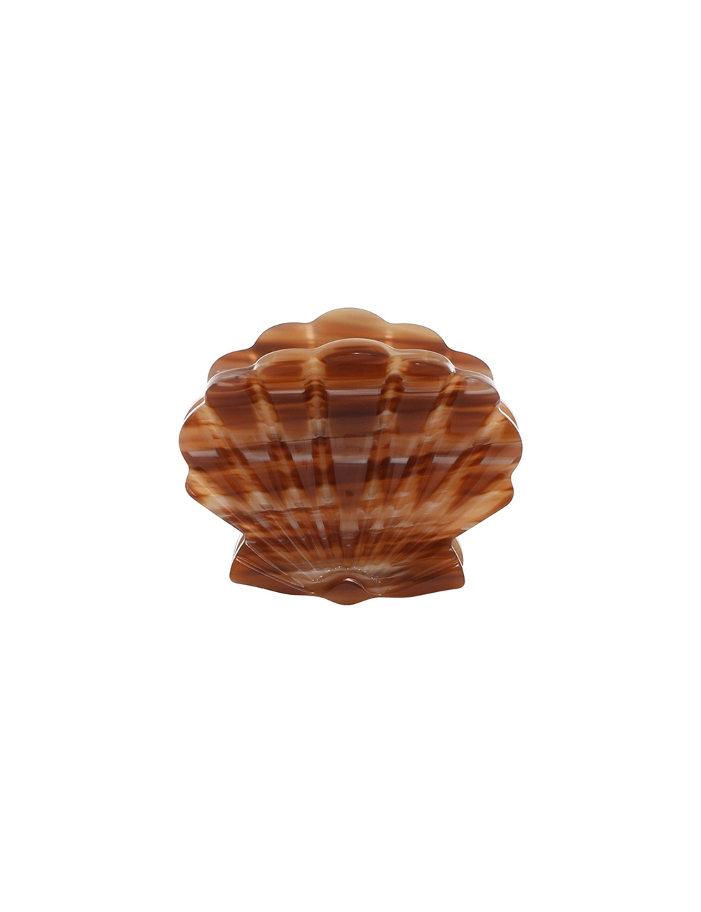 Shell Clasp