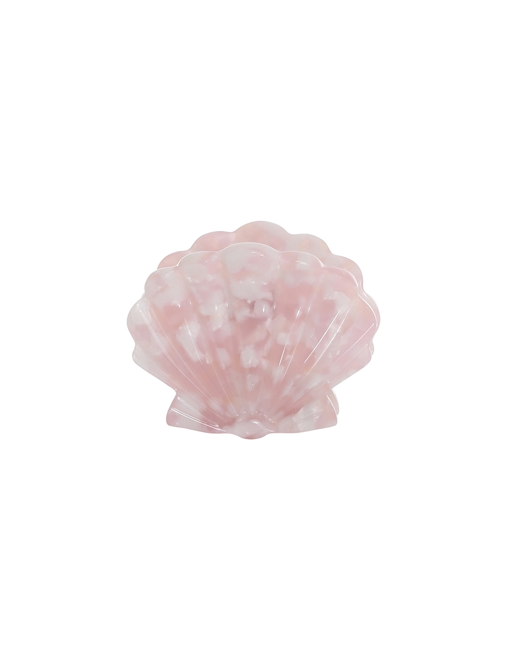 Shell Clasp