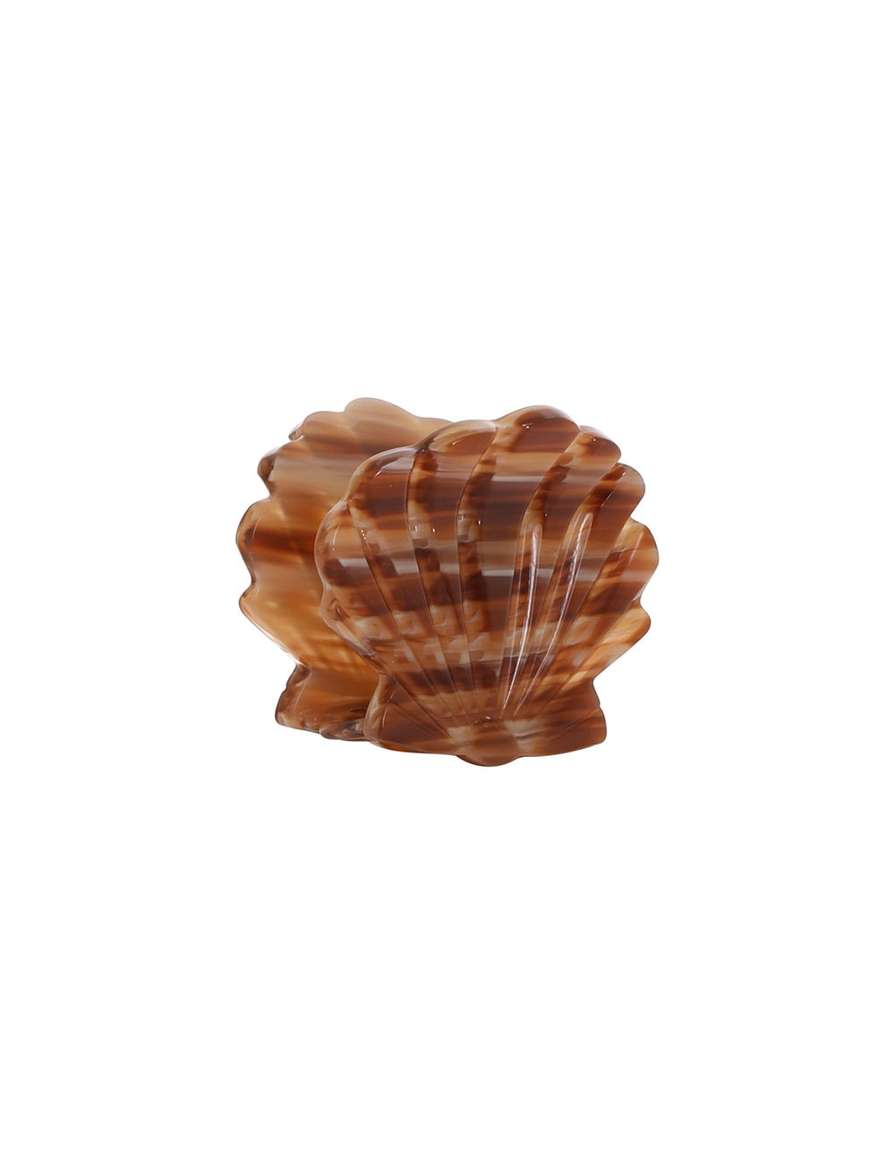 Shell Clasp