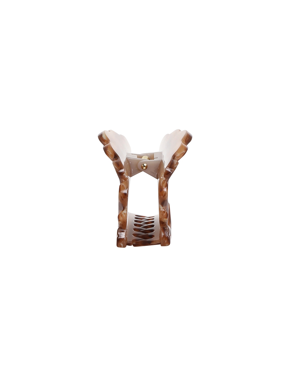 Shell Clasp