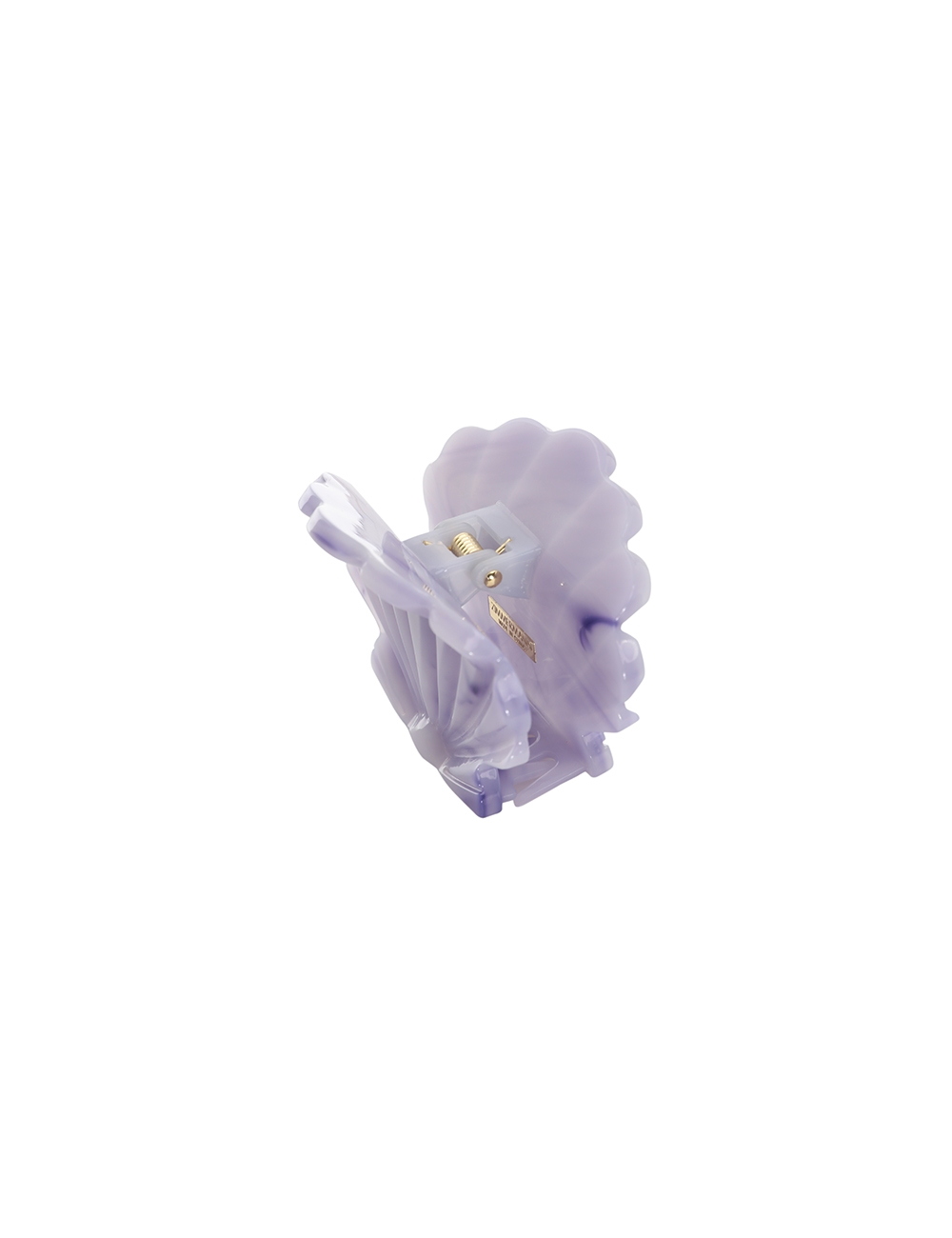 Shell Clasp