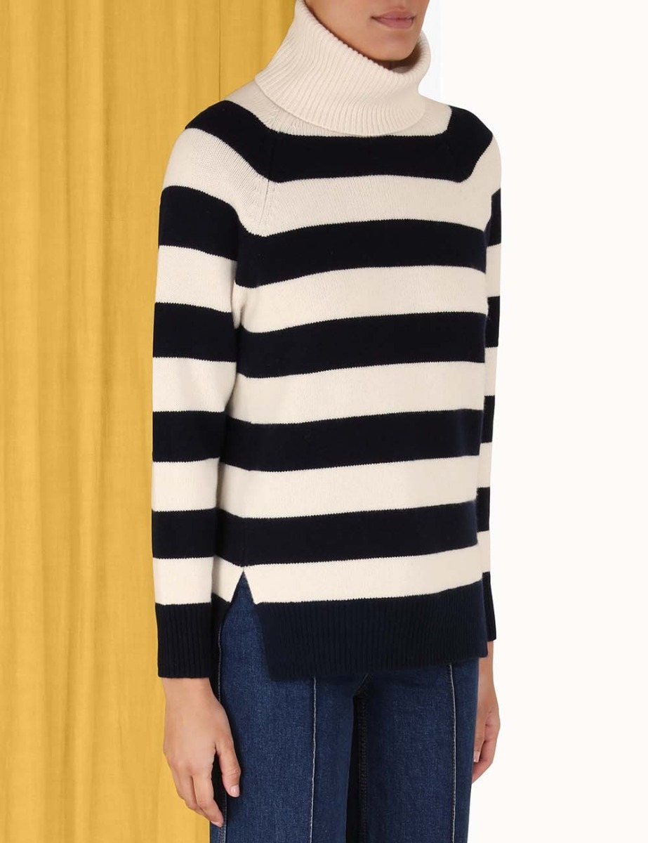 Striped Roll Neck Sweater