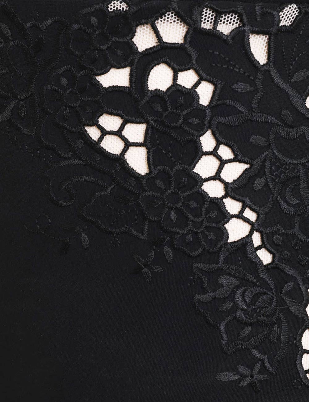 Ginger Embroidered Bikini