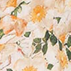 Blush Garden Floral
