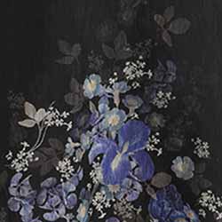 Blue Iris Black