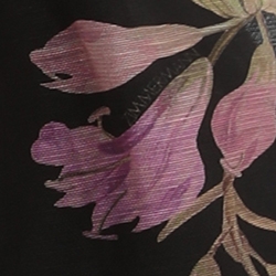 Black Lily