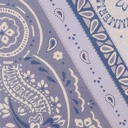 Blue Bandana