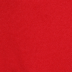 Bright Coral