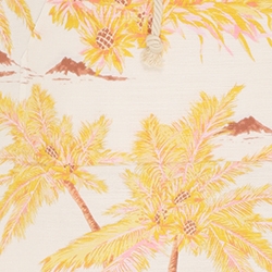 Canary Palm