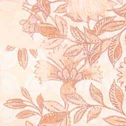 Coral Floral