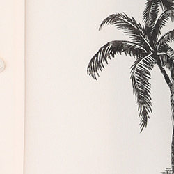 Cream Palm