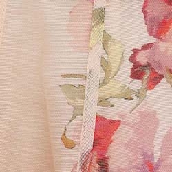 Cream Poppy