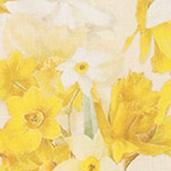Daffodil Print