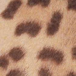 Dark Leopard