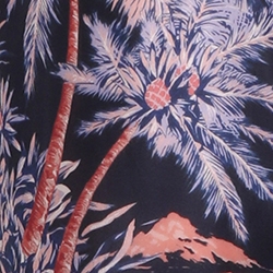 Indigo Palm