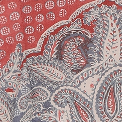 Indigo/Ruby Paisley
