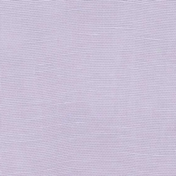 Jacaranda