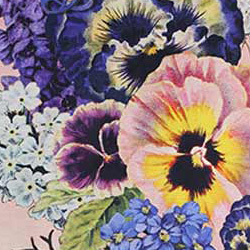 Pansy Garden Floral