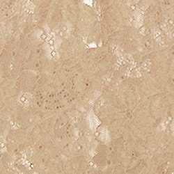 Parchment