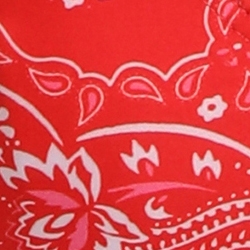 Red Bandana