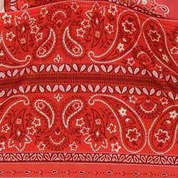 Red Bandana