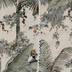 Sage Palm