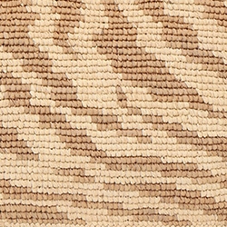 Tan Zebra