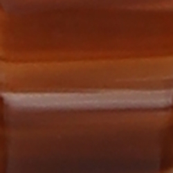 Tortoise Shell