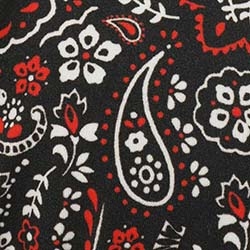 Zimmermann Paisley